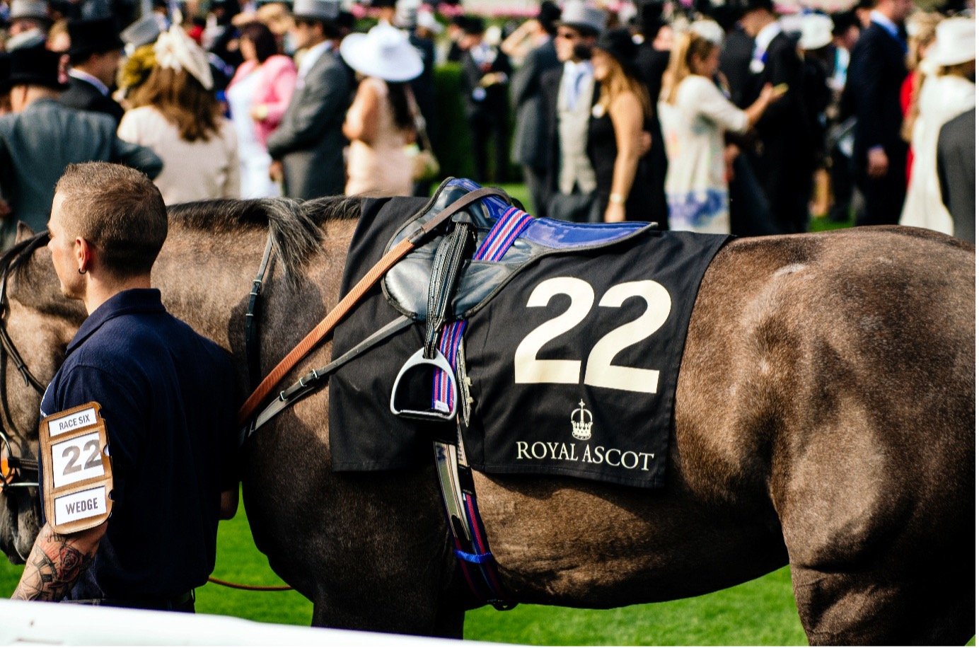 Thoroughbred Racing Commentary What are the biggest races at Royal Ascot? - Horse Racing Commentary