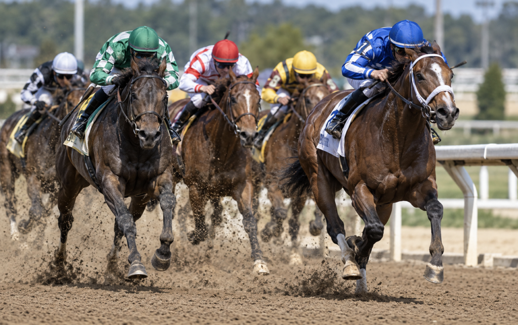horse race